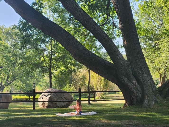 A far away shot of a girl sitting on a blanket beneath a large tree.