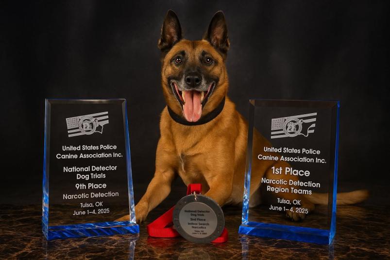 K9 Spike, a tan dog with black ears, sits between two awards he won. In front of him is a medal on a red cord.