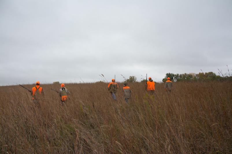 Calhoun County Phoenix - Staff Photo - Create Article