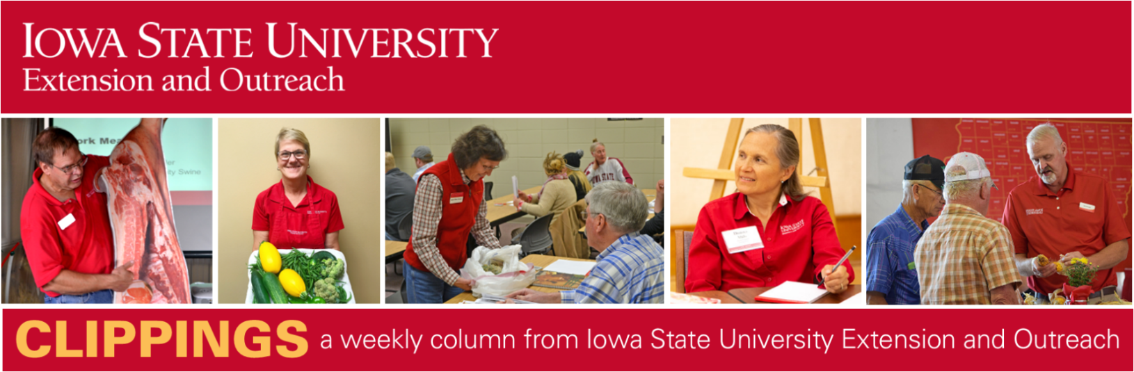 Calhoun County Phoenix - Staff Photo - Create Article
