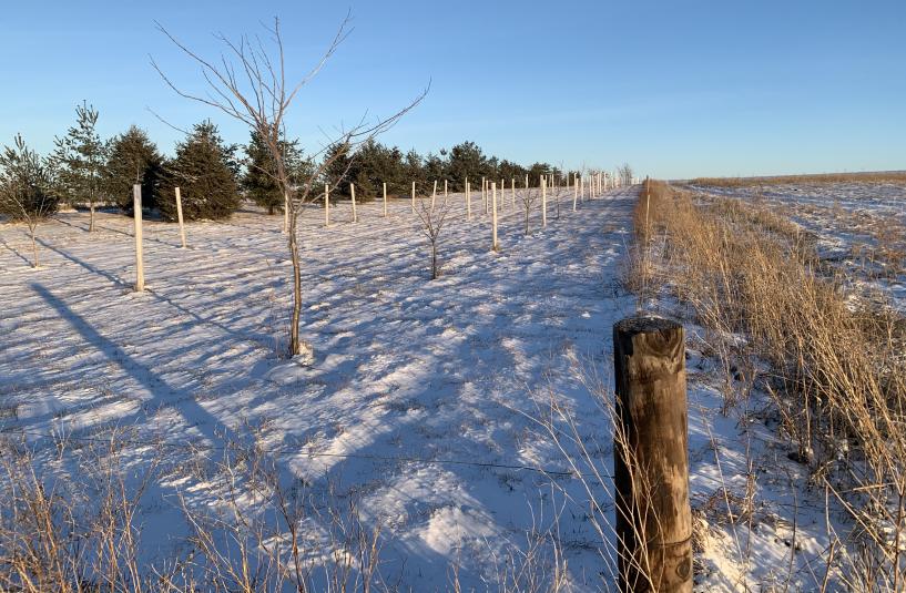Windbreak School Meeting