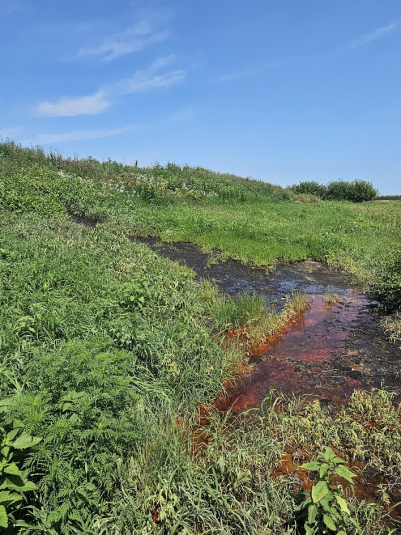 A pool of brown liquid is visible on a green field.